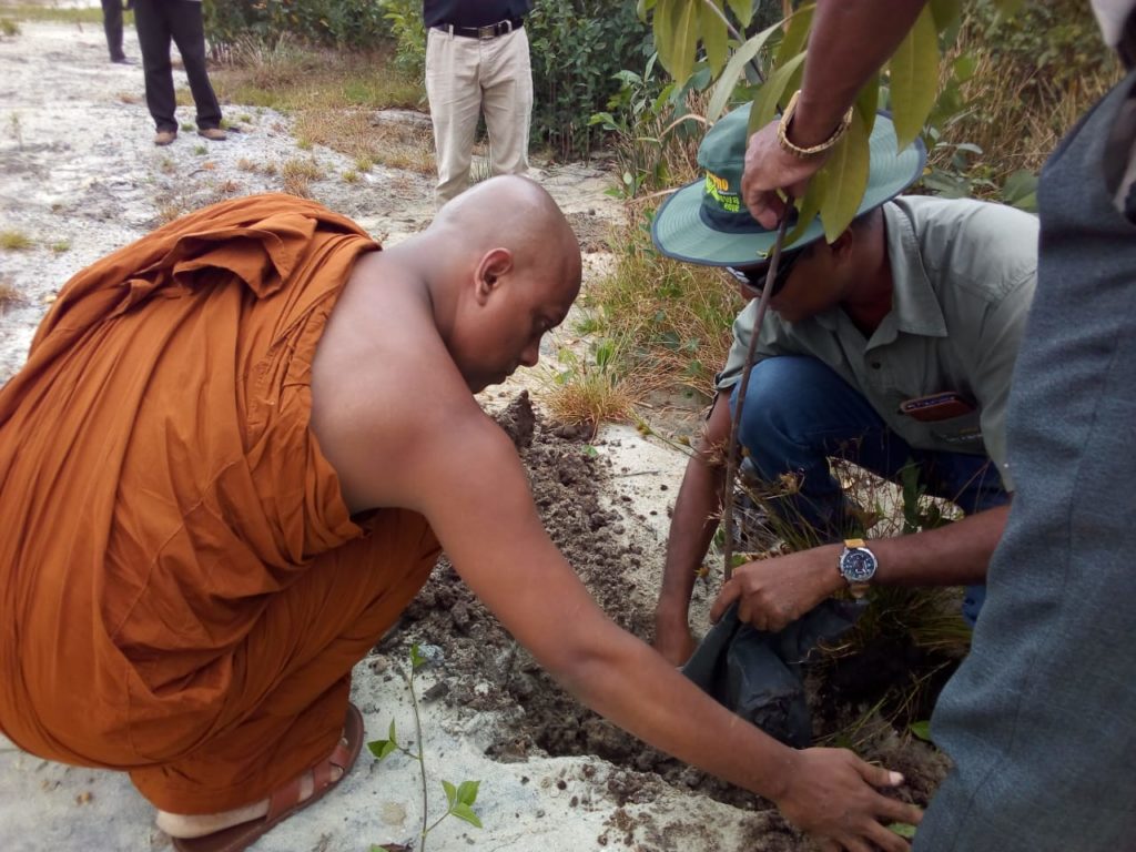 පූජ්ය පාහියංගල ආනන්දසාගර හිමි ප්රමුඛ පිරිස තර්ජන නොසලකා මුතුරාජවෙල අභයභූමියේ රුක් රෝපණය කළ අයුරු