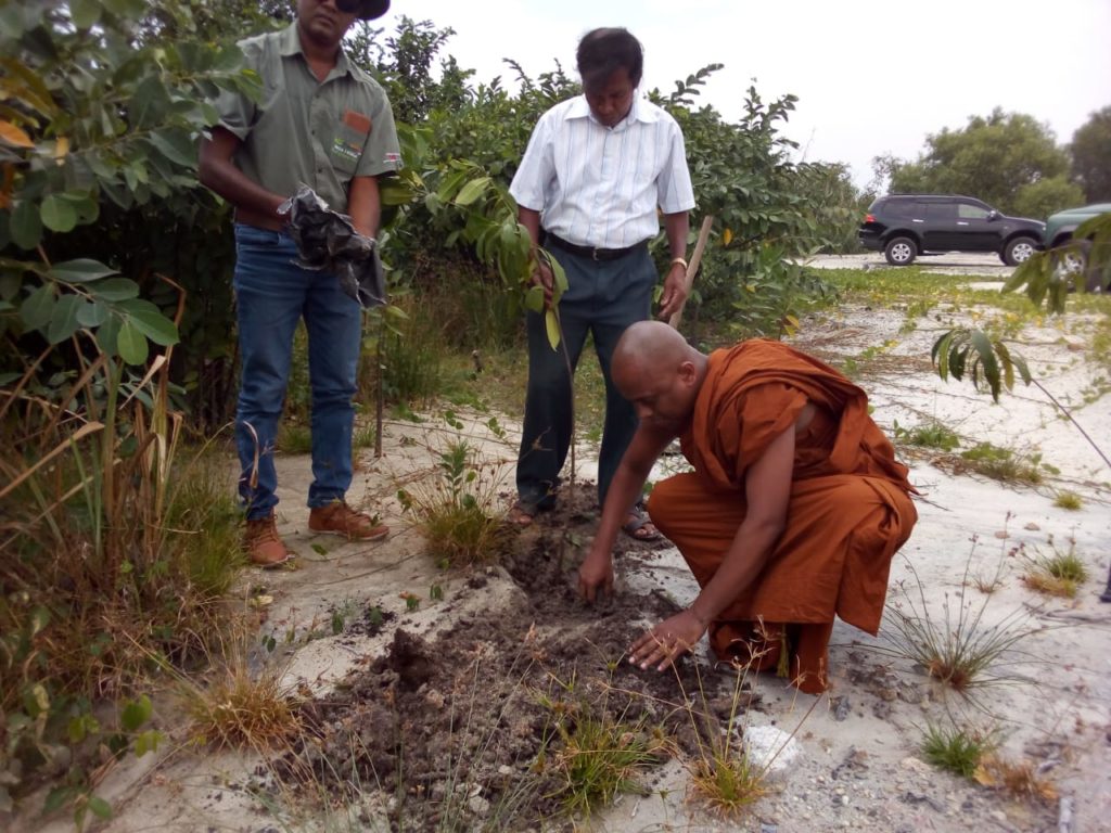 පූජ්ය පාහියංගල ආනන්දසාගර හිමි ප්රමුඛ පිරිස තර්ජන නොසලකා මුතුරාජවෙල අභයභූමියේ රුක් රෝපණය කළ අයුරු