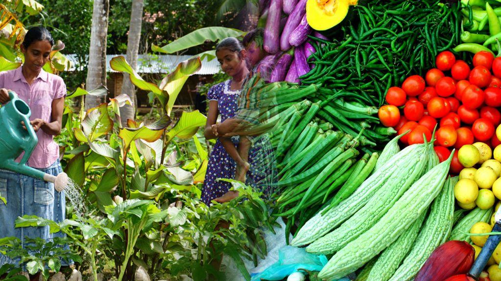 Food security