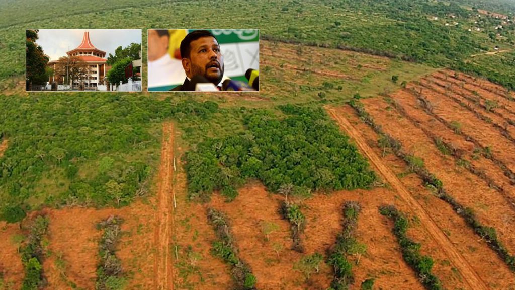 Wilpattu Judgement Delivered
