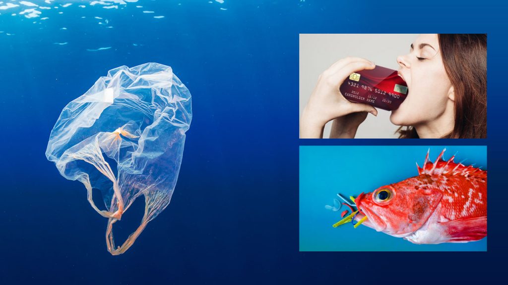 Micro plastic pollution is Sri Lanka